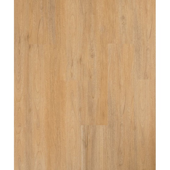 Déco - CLAP GO SEQUOIA DOGA FLOOR DIMENSIONE 1220 x 181 x 5 mm
