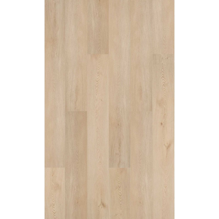 DECO - PINNA Clap!3D Doga S