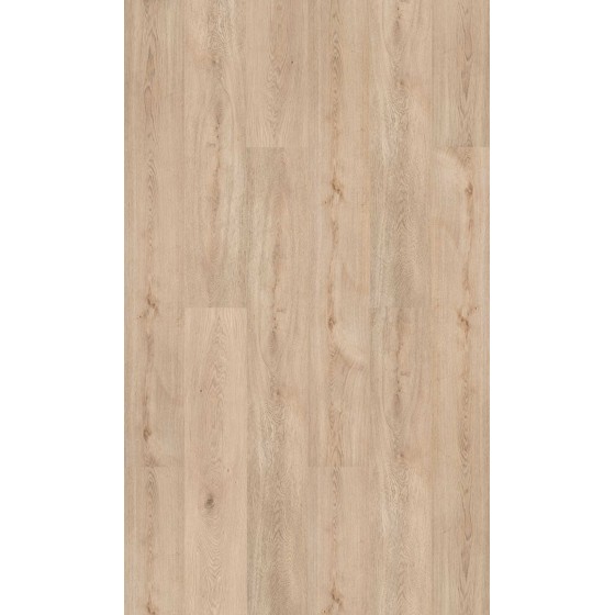 copy of DECO -