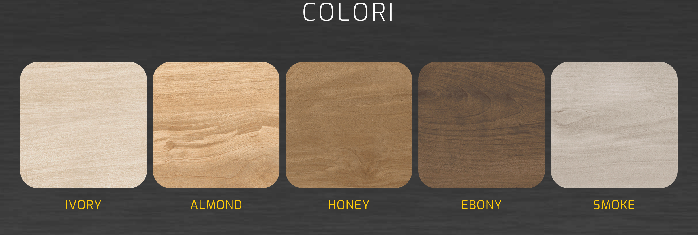 COLORI_MGM.png