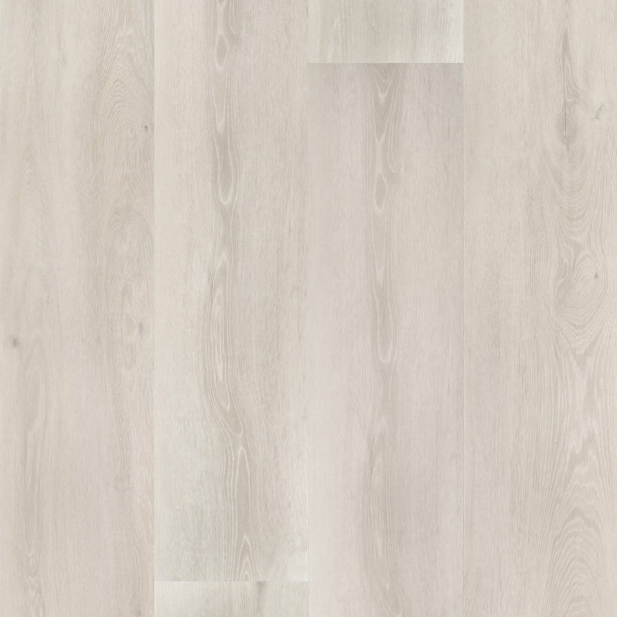 NAMIB_CLAP3D_DOGAMAX_LIBERATOSCIOLI_RIVENDITORE_DECO_SPC