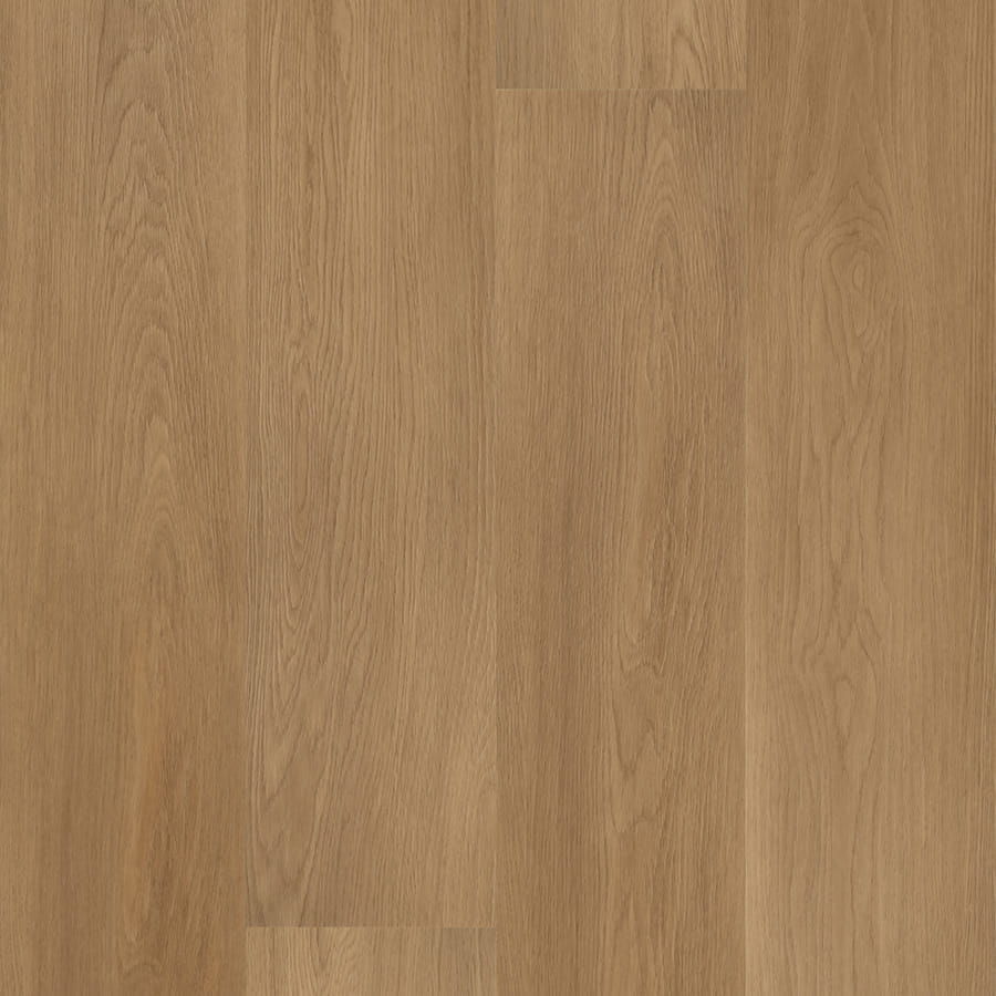 CLAP_ED_DOGAMAX_KARA_LIBERATOSCIOLI_RIVENDITORE_DECO