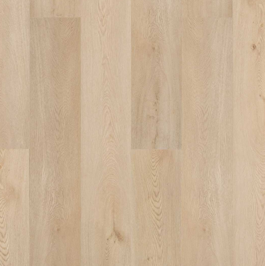 PINNA_CLAP3D_LIBERTOSCIOLI_RIVENDITORE_DECO_DOGAMAX