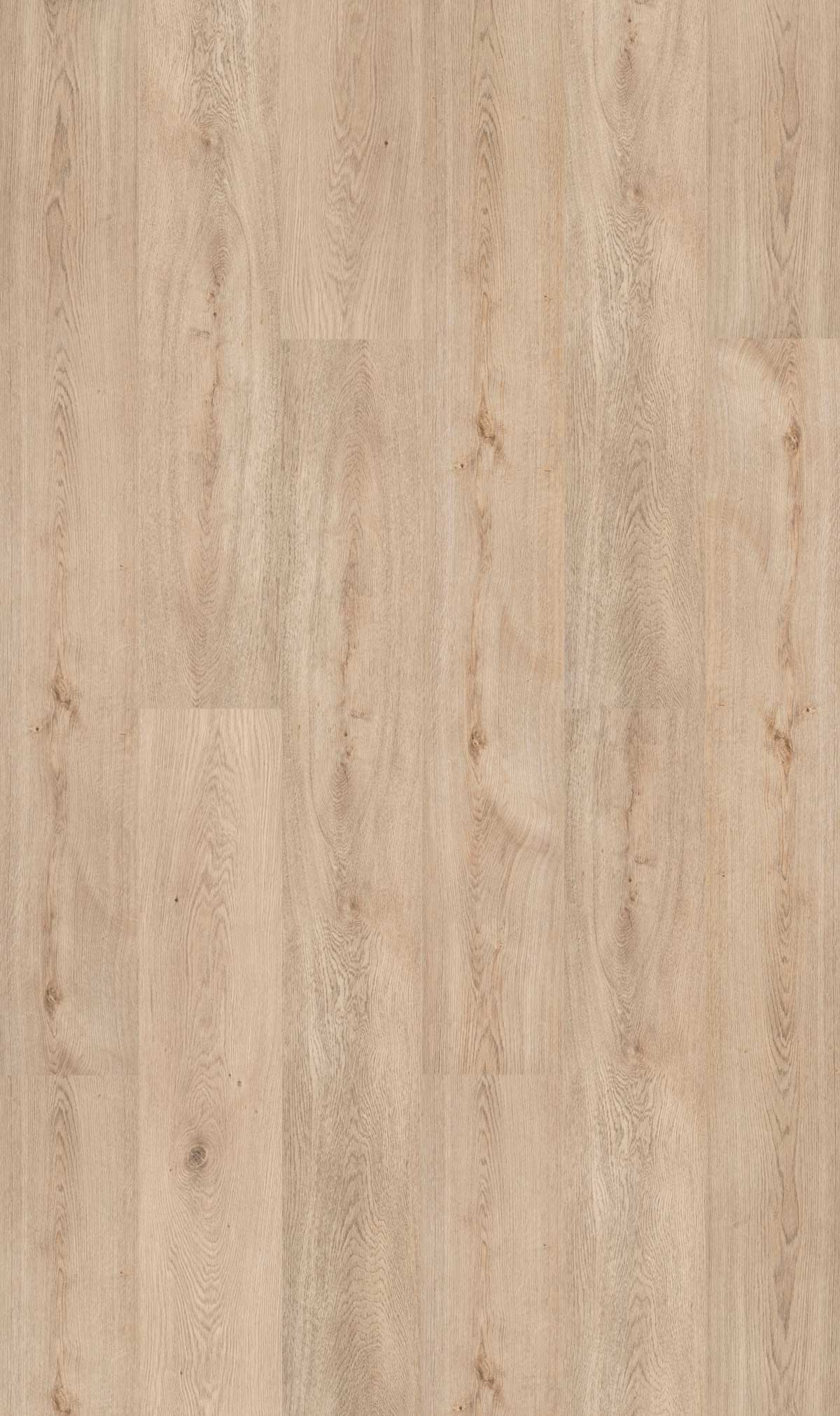pinna-1.jpg
