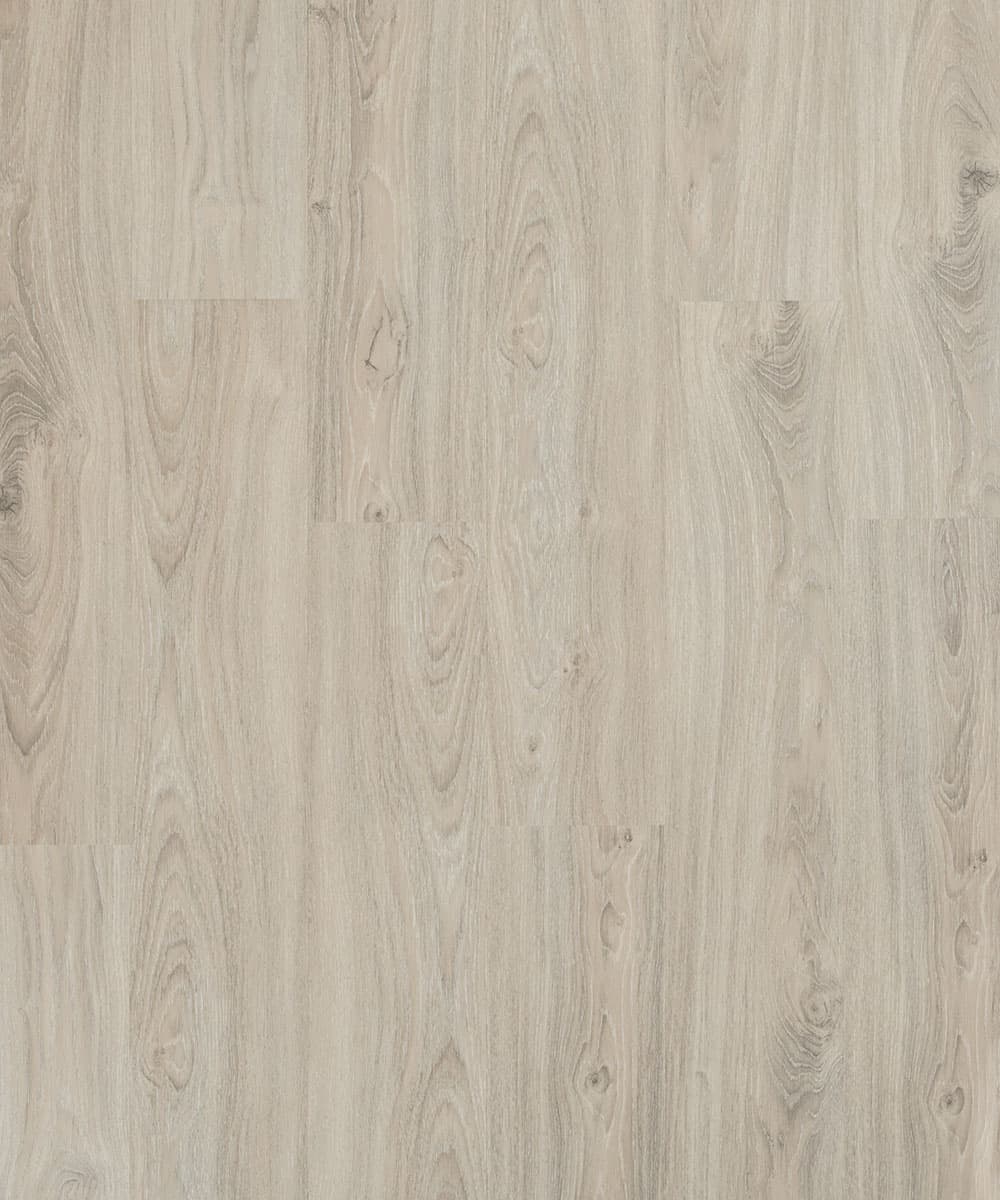 texture-letea.jpg